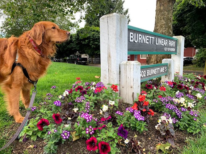 Dog Park Burnett Linear Park Renton