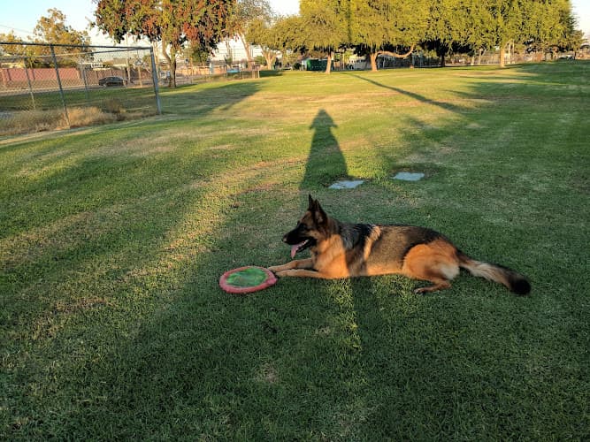 Dog Park Candleverde Park Long Beach