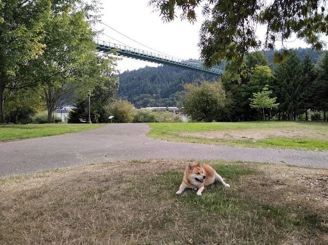 Dog Park Cathedral City Park Portland