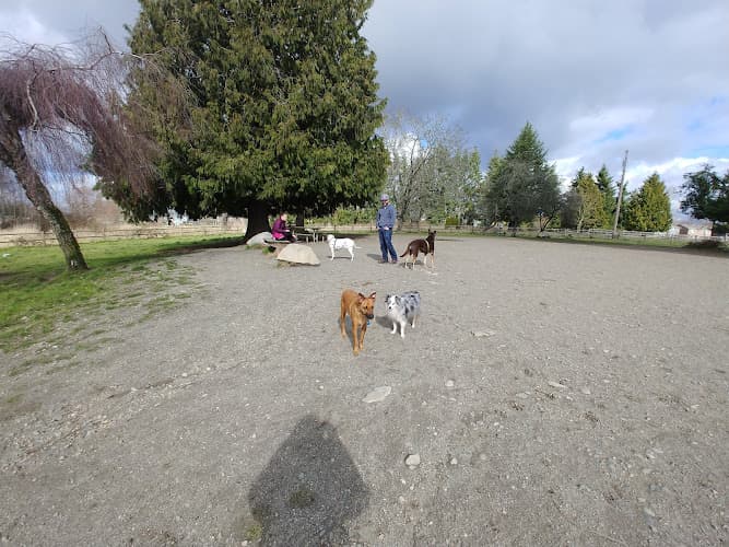 Dog Park Cavalero Hill Dog Park Everett