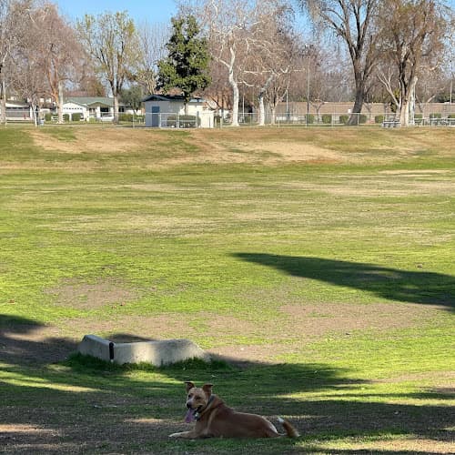 Dog Park Centennial Park Bakersfield