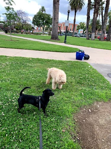 Dog Park Central Park Pasadena