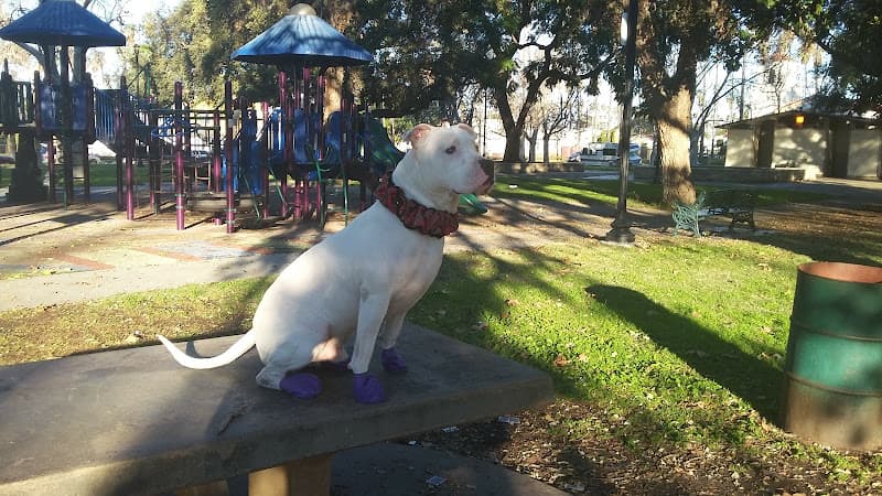 Dog Park Chesterfield Square Park Inglewood