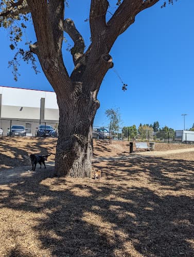 Dog Park Chilpancingo Dog Park Vallejo