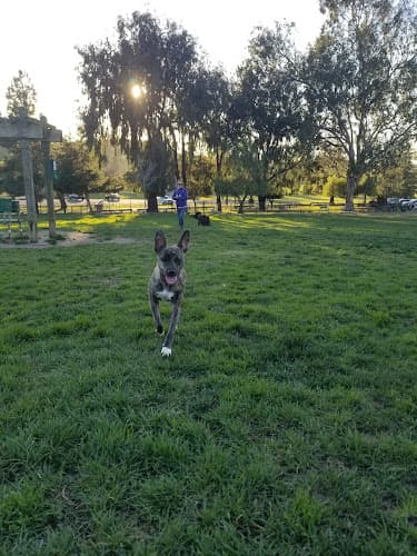 Dog Park City of Milpitas Dog Park at Ed R. Levin Fremont