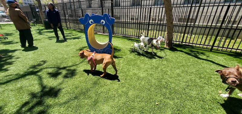 Dog Park Civic center DOG RUN San Francisco
