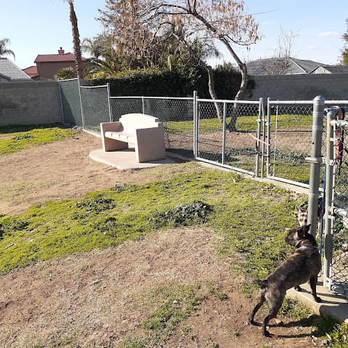 Dog Park Coffee Road Small Dog Park Bakersfield