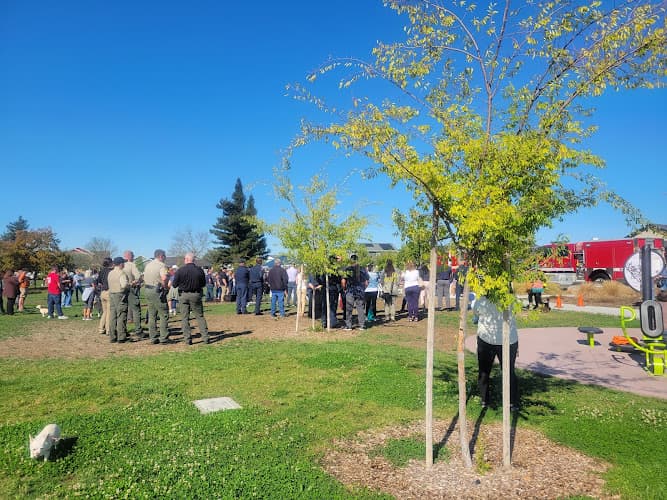 Dog Park Coffey Park Santa Rosa
