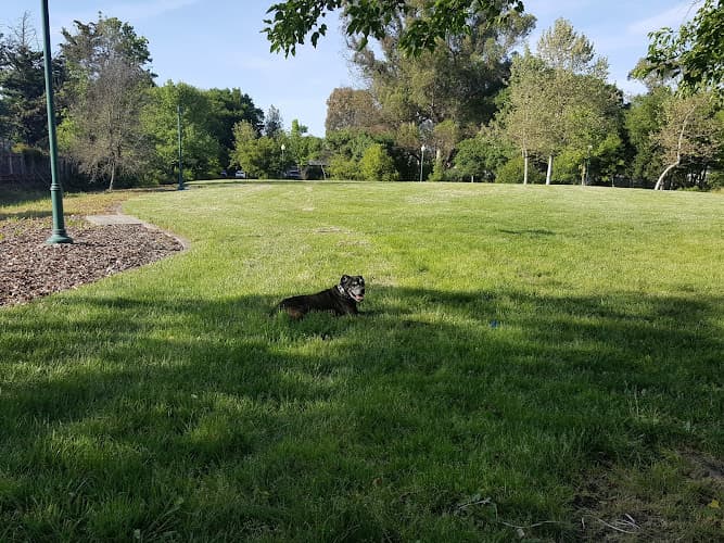 Dog Park Colgan Creek Park Santa Rosa