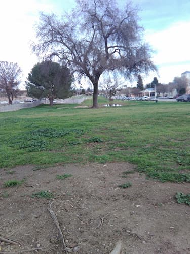Dog Park College Park Bakersfield
