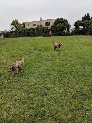 Dog Park Corona Heights Park San Francisco