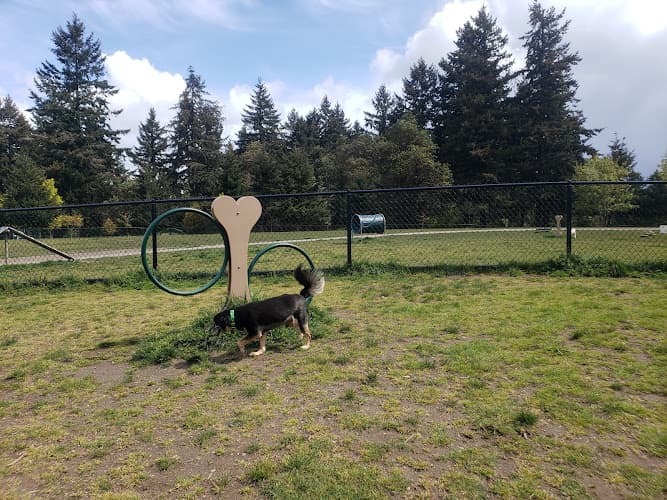 Dog Park Crestview Park Renton