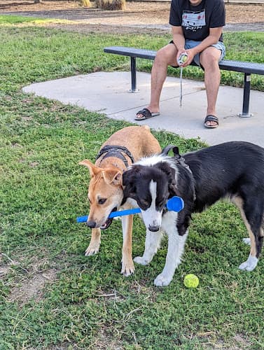 Dog Park Dog Park - Regency Community Park Sacramento