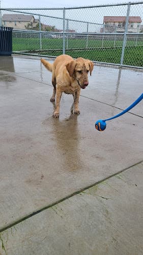 Dog Park Don and Brenda Nottoli Community Park Sacramento