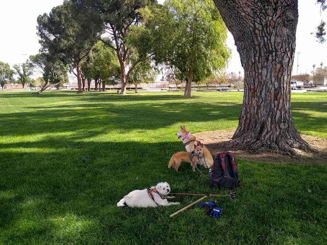 Dog Park Don Jones Park Riverside