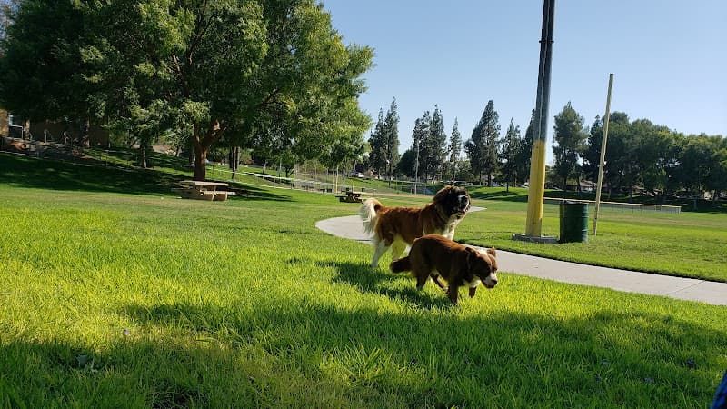 Dog Park Don Lorenzi Park Riverside
