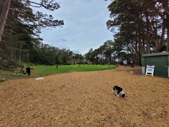 Dog Park Douglass Park San Francisco