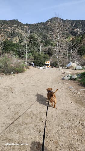Dog Park Eaton Canyon Trail Head Pasadena
