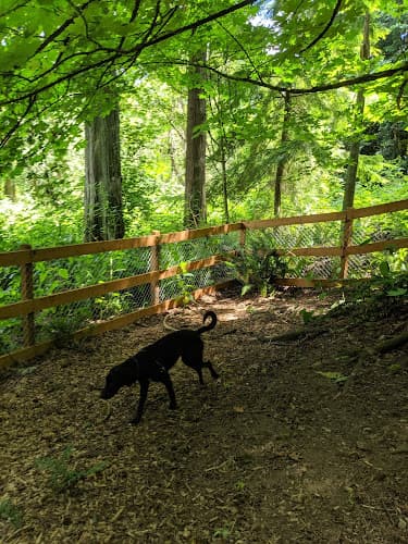 Dog Park Edith Moulton Off Leash Area Kirkland
