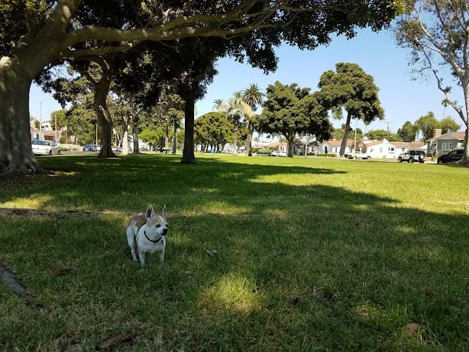 Dog Park El Prado Park Carson