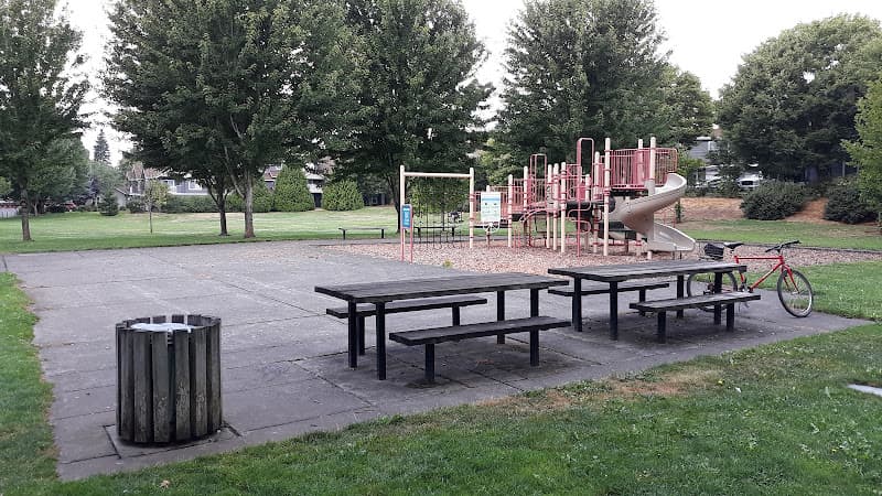 Dog Park Ellsworth Springs Park Vancouver