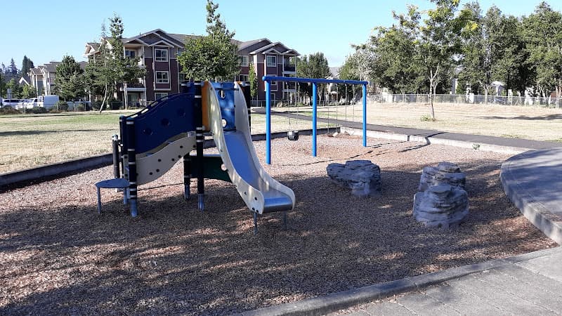 Dog Park Endeavor Neighborhood Park Vancouver