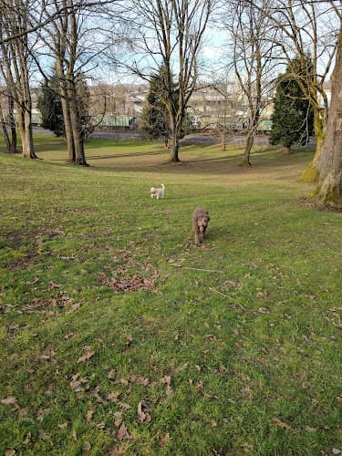 Dog Park Farragut City Park Portland