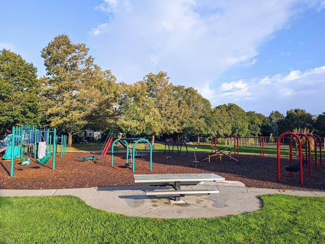 Dog Park Fernhill Park Portland
