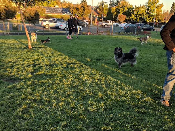 Dog Park FIDO Field Inglewood