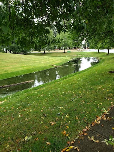 Dog Park Field of God Vancouver