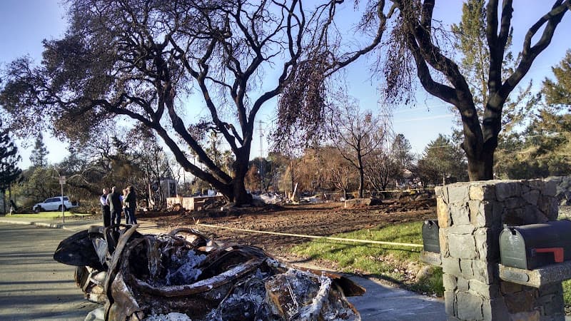 Dog Park Fir Ridge Park Santa Rosa
