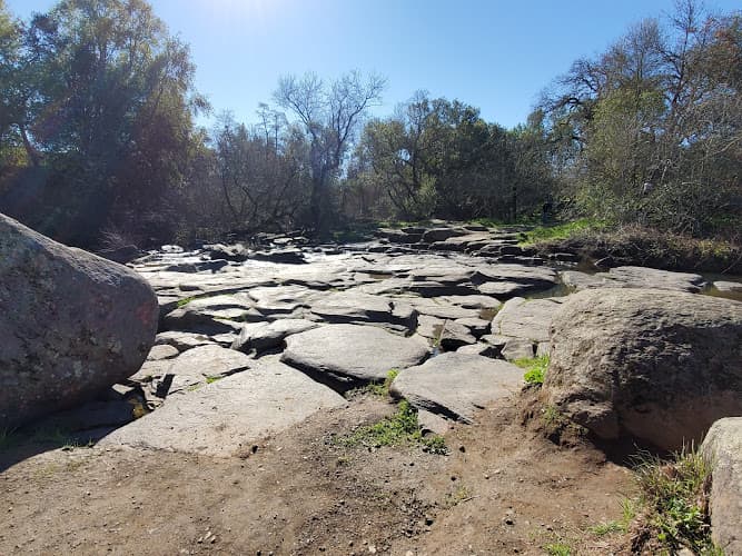 Dog Park Flat Rock Park Santa Rosa