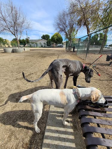 Dog Park Flora Vista Dog Park Downey