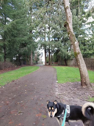Dog Park Foege Park Hillsboro