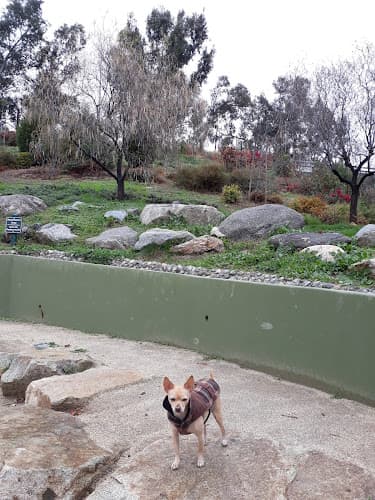 Dog Park Franklin-Ivar Park Burbank