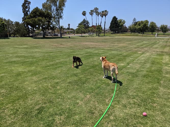 Dog Park Fritz Huntsinger Youth Sports Complex Ventura