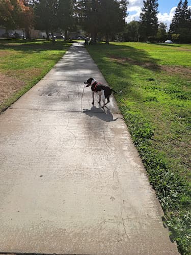 Dog Park Fruitridge Park Sacramento