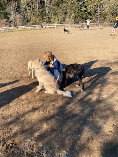Dog Park Gabriel Dog Park - Winter Gresham