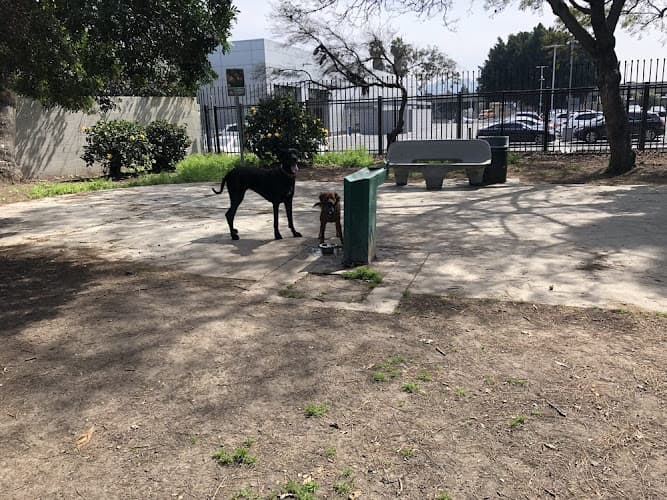 Dog Park Genesee Avenue Park Los Angeles