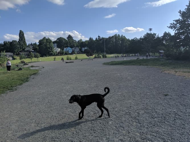 Dog Park Genesee Dog Park Seattle