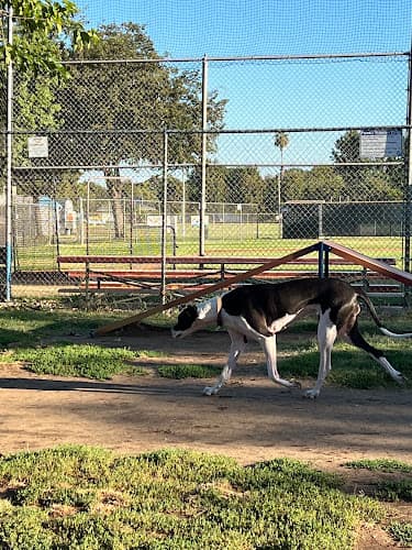 Dog Park Glenbrook Large Dog Park Roseville