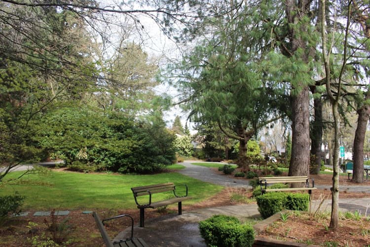Dog Park Goddard Park Bellevue