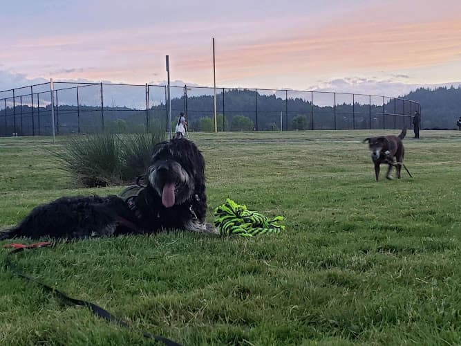 Dog Park Gradin Community Sports Park Gresham
