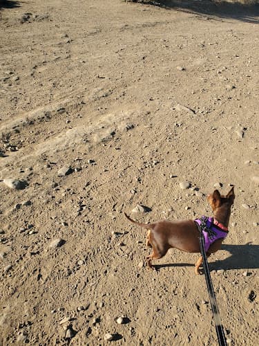 Dog Park Harmon Canyon Preserve Ventura