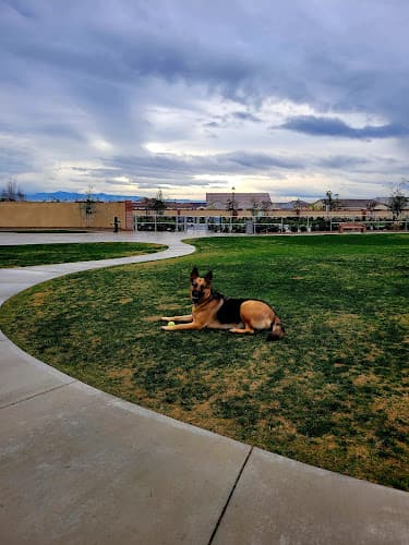 Dog Park Highgate dog park Bakersfield