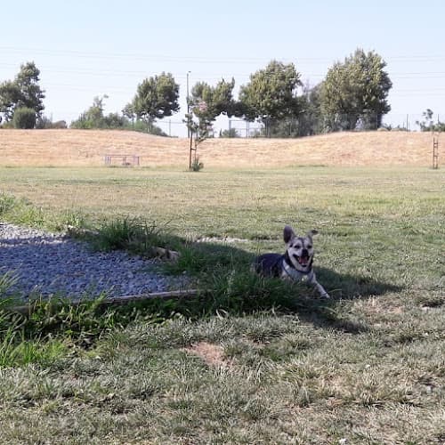 Dog Park Highlands Ranch Park Antioch