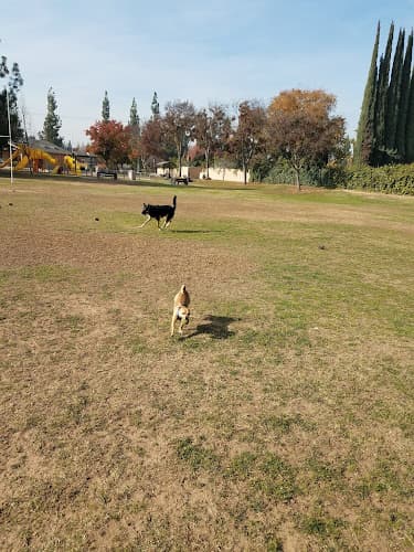 Dog Park Holman Park Fresno