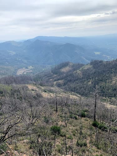 Dog Park Hood Mountain Regional Park Santa Rosa