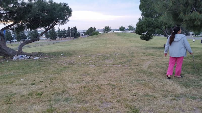 Dog Park Hyde Park Fresno