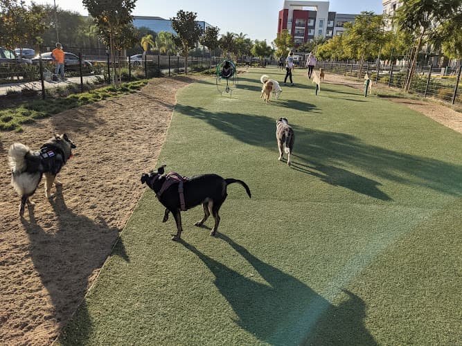 Dog Park Jacaranda Park & Dog Park Irvine